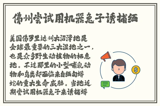小猪视频免费视频